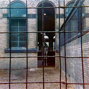 Pittsburgh zoo 1975/76