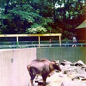 Pittsburgh zoo 1975/76