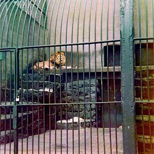 Pittsburgh zoo 1975/76