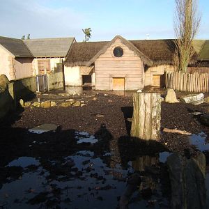View of Warthog enclosure