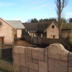 View of the Pig enclosures