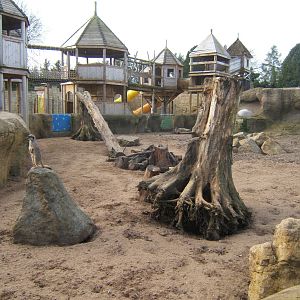 New Meerkat exhibit near Reptile River
