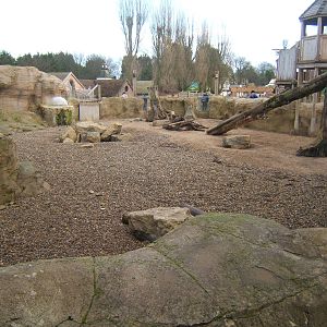 View of Meerkat enclosure