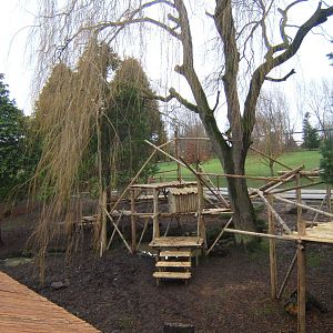 View of new Red Panda exhibit