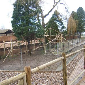 View of new Red Panda exhibit