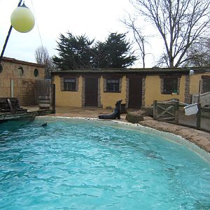 View of Californian Sealion exhibit