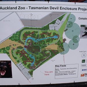 Tasmanian Devil Exhibit Plan