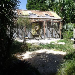 New building at Alligator Enclosure
