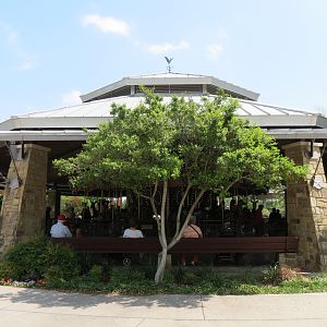 Main Entrance - Carousel