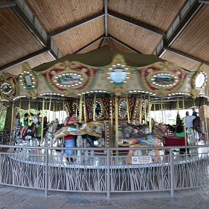 Main Entrance - Carousel