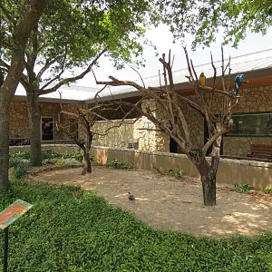 Main Entrance - Green-winged Macaw Exhibit