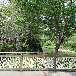 Flamingo Pond - Viewing Area