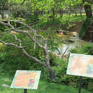 Flamingo Pond - Scarlet Macaw and Military Macaw Exhibit
