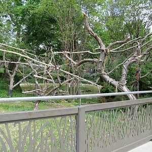 Flamingo Pond - Blue-and-yellow Macaw Exhibit