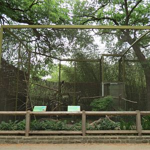 Wings of Wonder - Audobon's Crested Caracara and Blue Jay Exhibit