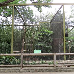 Wings of Wonder - Greater Roadrunner Exhibit