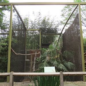 Wings of Wonder - Verreaux's Eagle-owl Exhibit