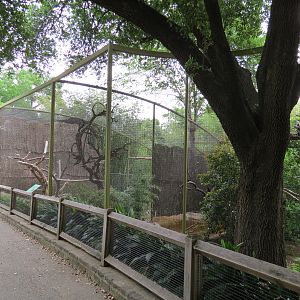 Wings of Wonder - African Fish Eagle Exhibit