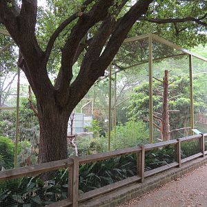Wings of Wonder - Bald Eagle and King Vulture Exhibits