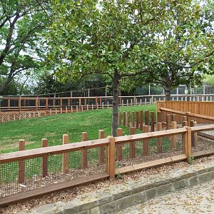 Picnic Ridge - Galapagos Tortoise Exhibit