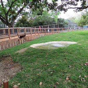 Picnic Ridge - Galapagos Tortoise Exhibit