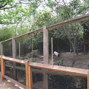 Picnic Ridge - Red-crowned Crane Exhibit
