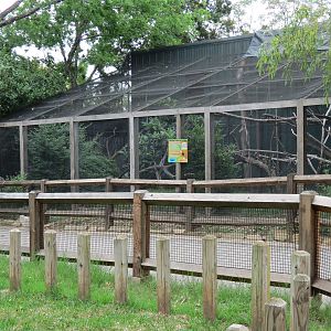 Picnic Ridge - Wreathed Hornbill Exhibit