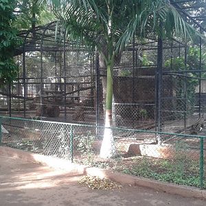 Cages for the large cats