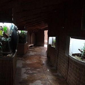 Amphibian room