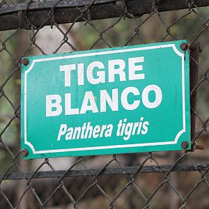 White tiger sign