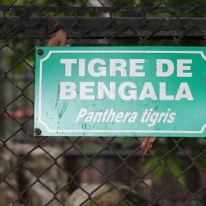 Bengal tiger sign