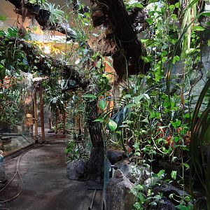 Jungle part of Reptile House