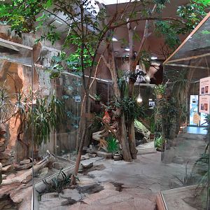 Desert part of Reptile House