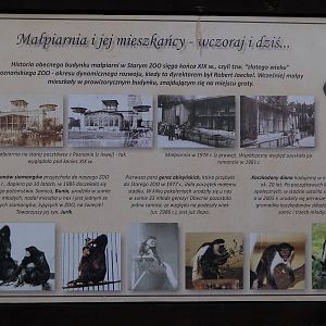 Signage at Monkey House