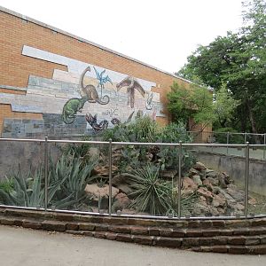 Reptiles and Amphibians - Exterior and Iguana Exhibit