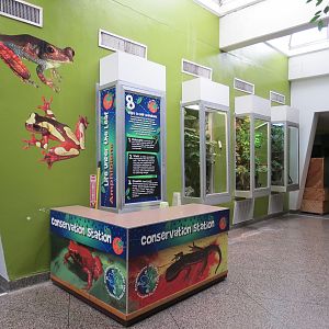 Reptiles and Amphibians - Atrium