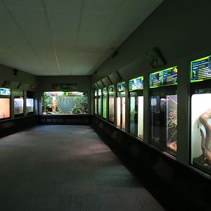 Reptiles and Amphibians - 3rd Exhibit Hall