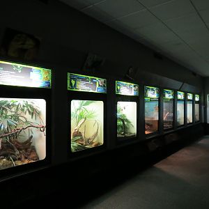 Reptiles and Amphibians - 4th Exhibit Hall