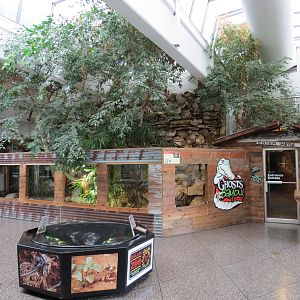 Reptiles and Amphibians - Atrium