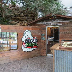 Reptiles and Amphibians - Ghosts of the Bayou - Entry