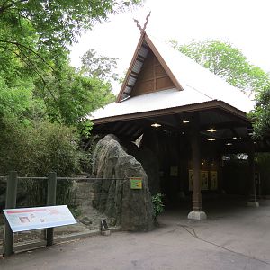Otter Outpost - Asian Small-clawed Otter Exhibit