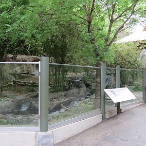 Otter Outpost - Asian Small-clawed Otter Exhibit
