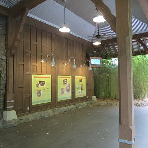 Otter Outpost - Asian Small-clawed Otter Exhibit