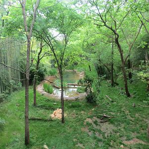 Tiger Habitat - Sumatran Tiger Exhibit