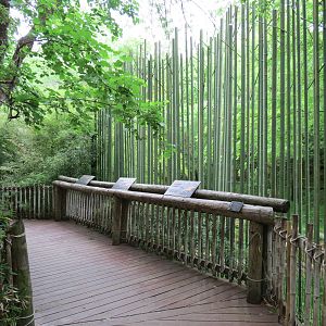 Tiger Habitat - Sumatran Tiger Exhibit