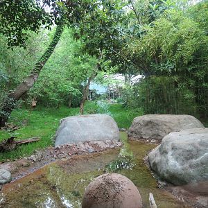 Tiger Habitat - Sumatran Tiger Exhibit