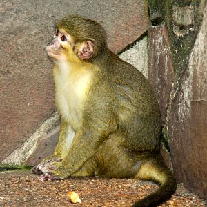 2013 Little Rock Zoo