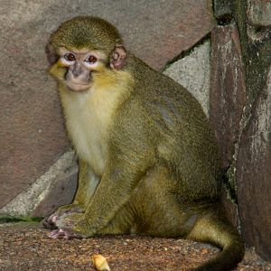 2013 Little Rock Zoo