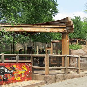 Koala Walkabout - Australian Walkabout Exhibit