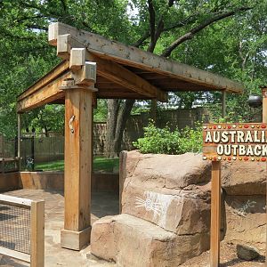 Koala Walkabout - Australian Walkabout Exhibit